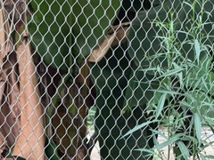 Rede de rede de corda de aço inoxidável Rede de rede de fio metálico Ferrule Zoo Mesh Estrutura de grade em forma de diamante