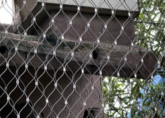 Rede de prevenção de quedas de rocha de buracos romboides com conexão ferrulada para zoológico