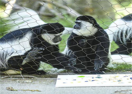 cabo entrançado de aço Mesh For Animal Enclosure do ODM 304 316l