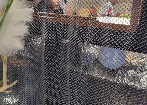 Fio decorativo flexível Mesh Curtain da cortina 2mm para a decoração do hotel