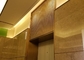Fio decorativo Mesh For Elevators Hall Lobby dos Ss 304 dourados