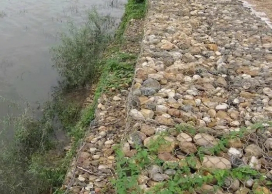 Diâmetro de fio da caixa 2.8mm de Gray Pvc Coated Hexagonal Gabion