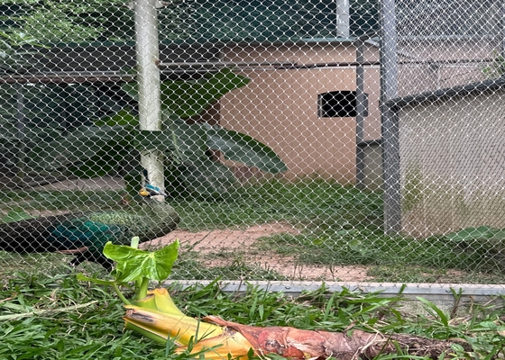 Rede de corda de fio de 2 mm de diâmetro de alta resistência para recinto seguro de animais de zoológico
