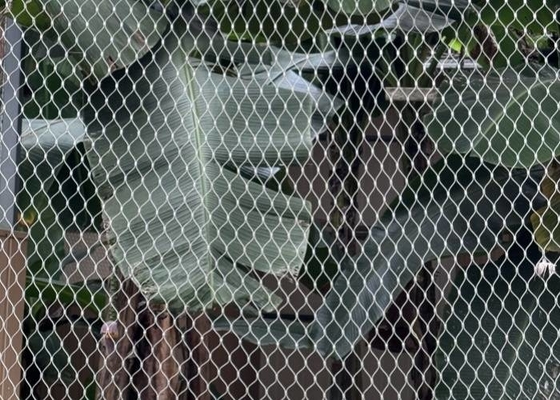 Romboide Hole Zoo Rope Mesh de aço inoxidável Flexível Ferroled para recinto de animais